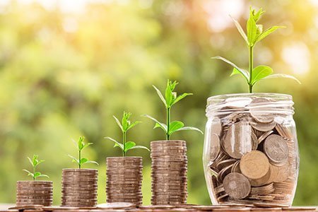 coin and sprouts representing growth