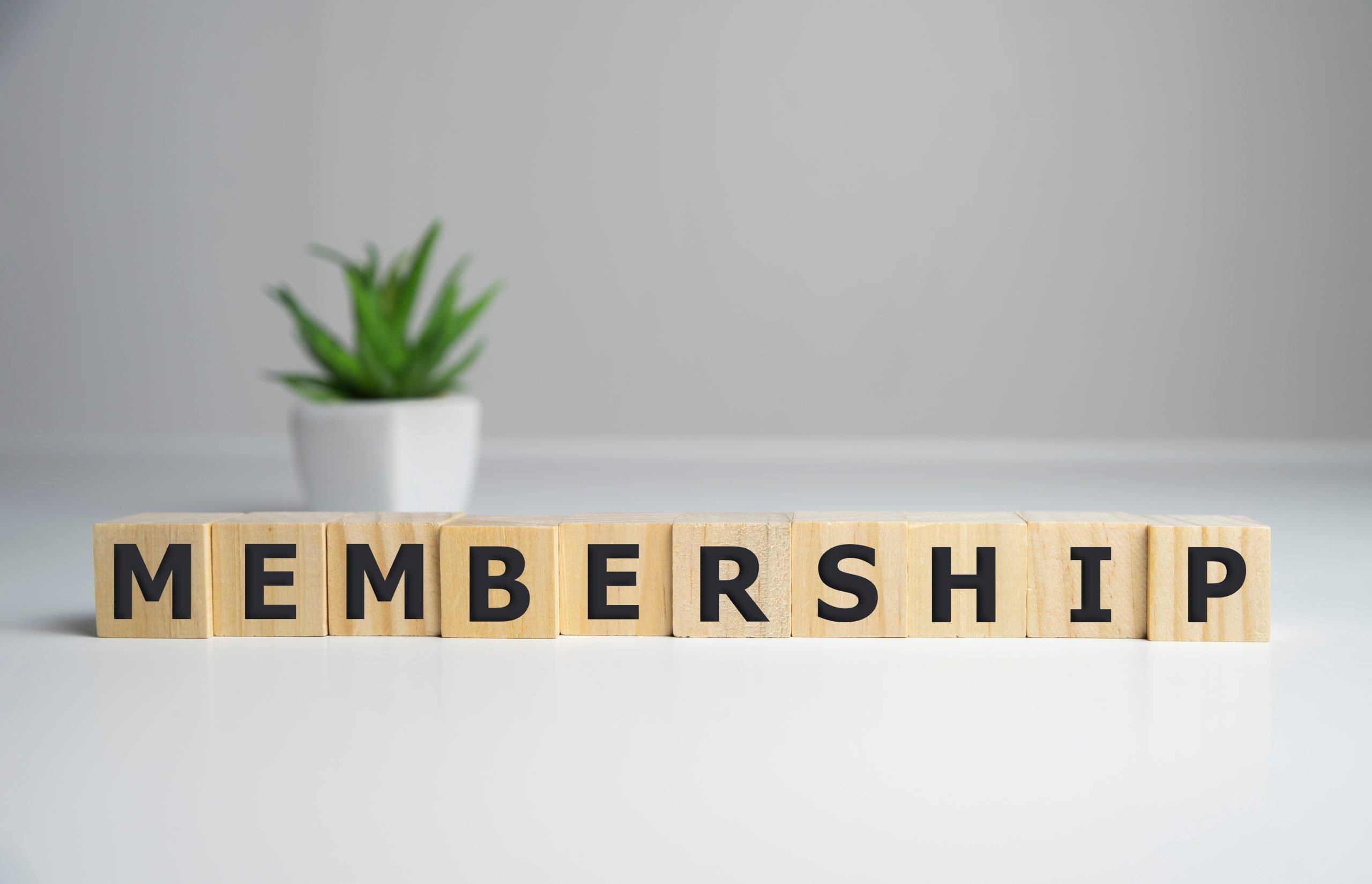 Wooden blocks with letters that reads Membership