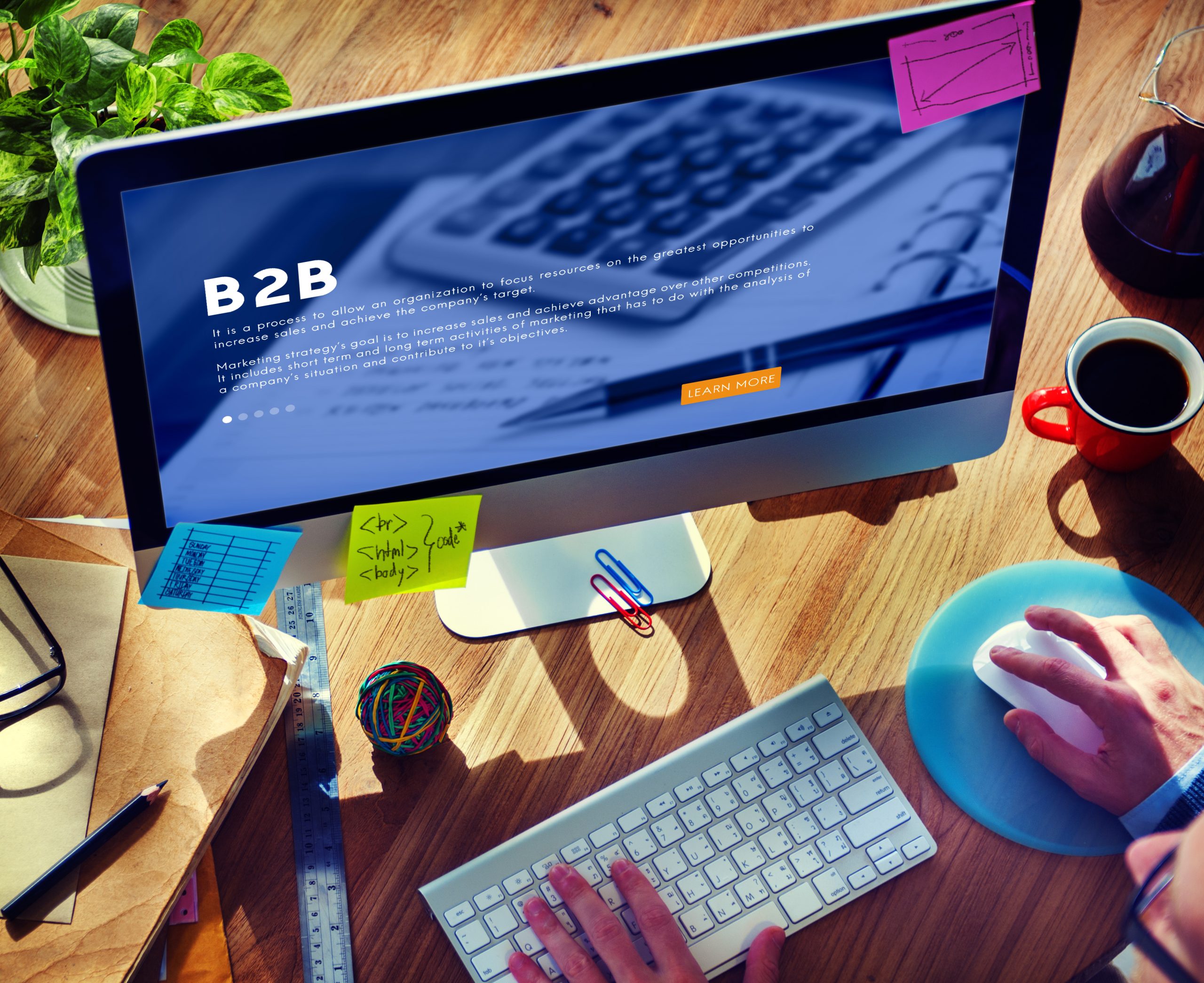 Person working on a B2B website
