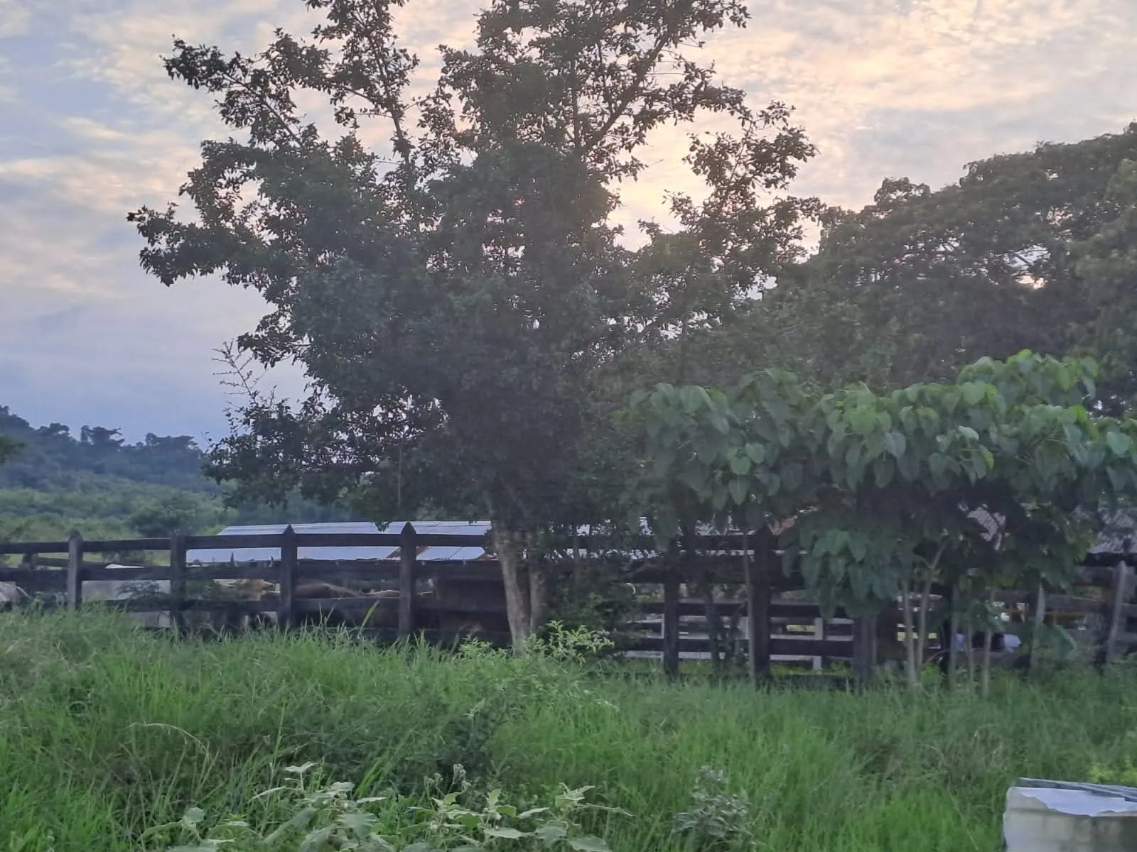 RANCHO EN VENTA POZA RICA